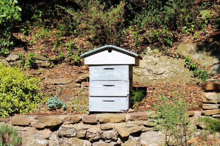 ruche, apiculture, jardin-1568633.jpg